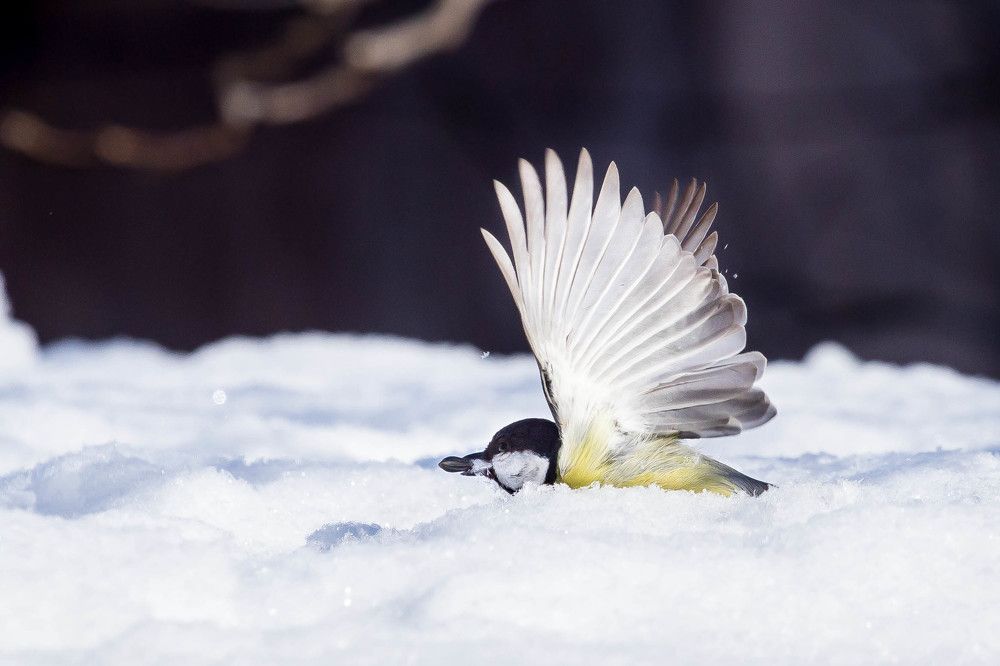На взлёт с обедом...