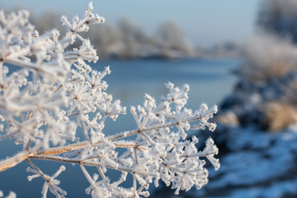 Свидание с зимой