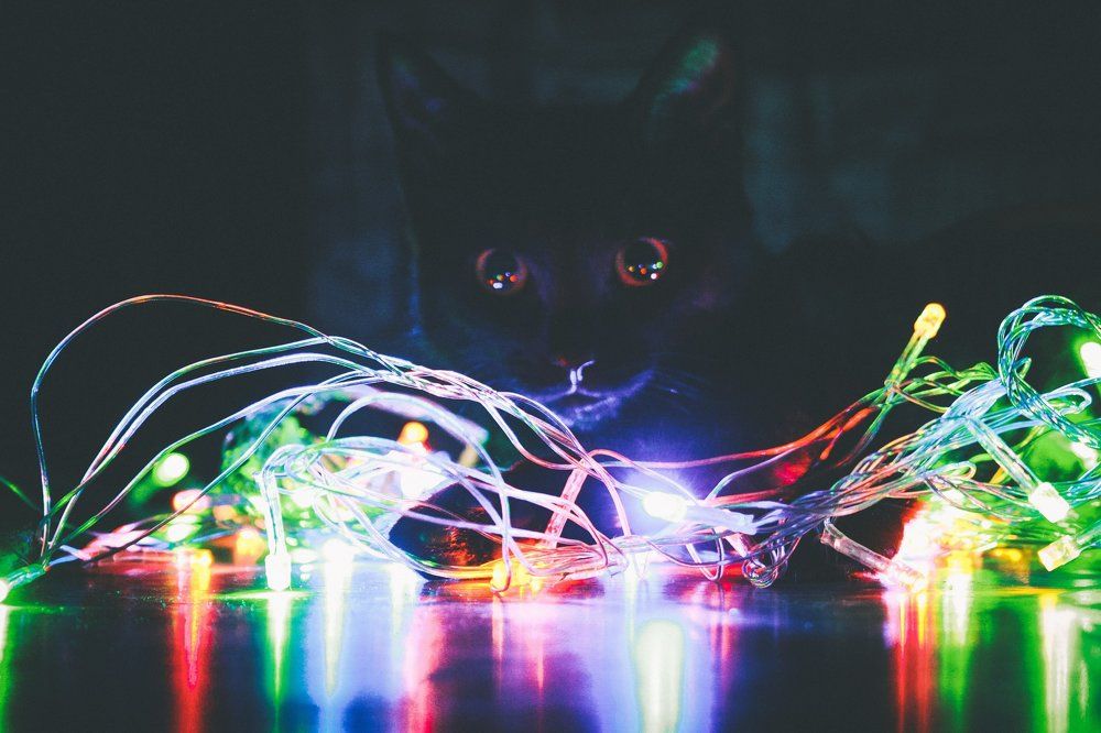 Photograph by Влад Богаткин