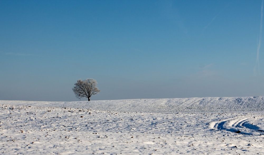 С чистого листа