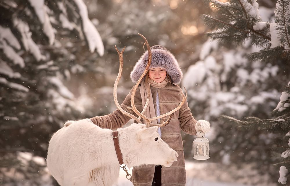 Северный олень
