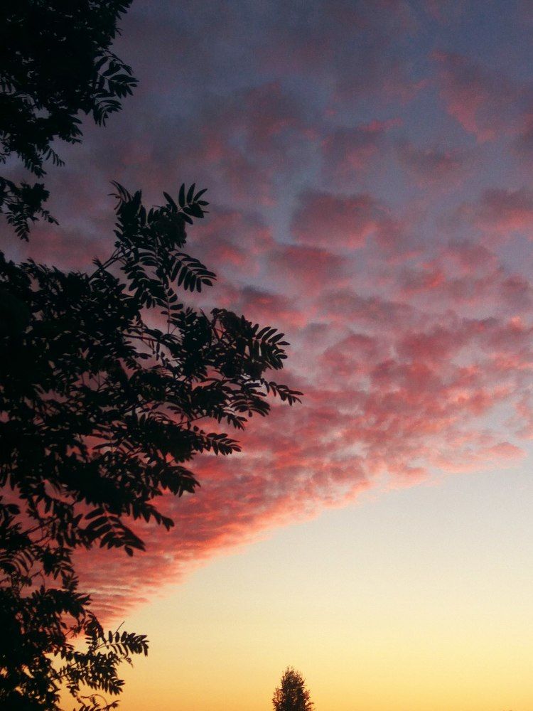Один закат не похож на другой, краски неба не бывают одинаковыми
