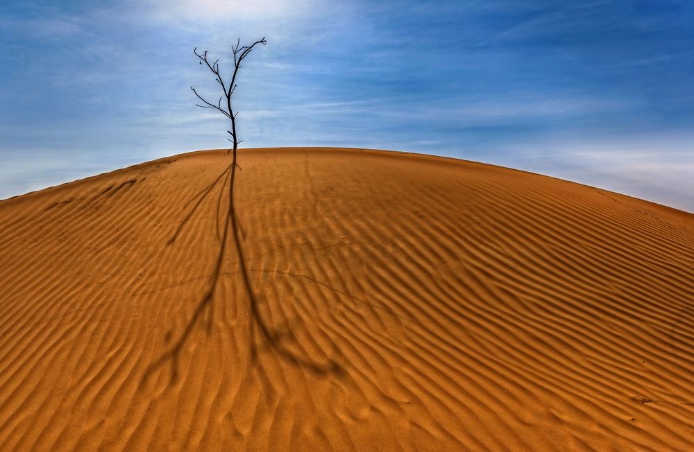 Waiting for my shadow