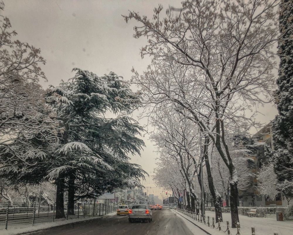 Urban winter landscape