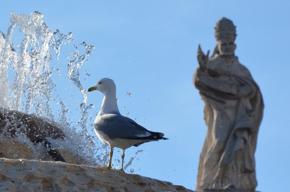 Photograph by Афанасьев Владимир