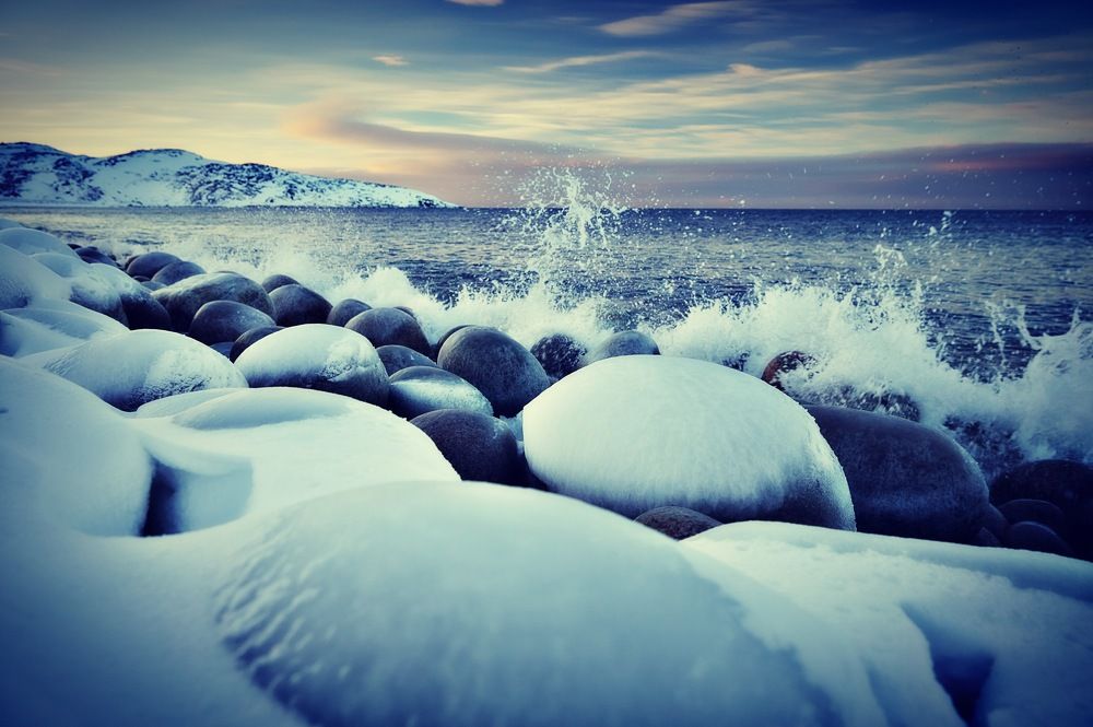 На краю ледяного моря