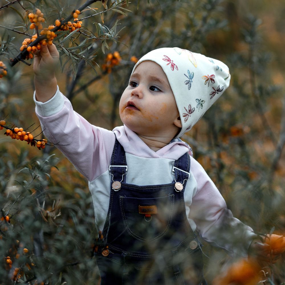 Облепишная пора