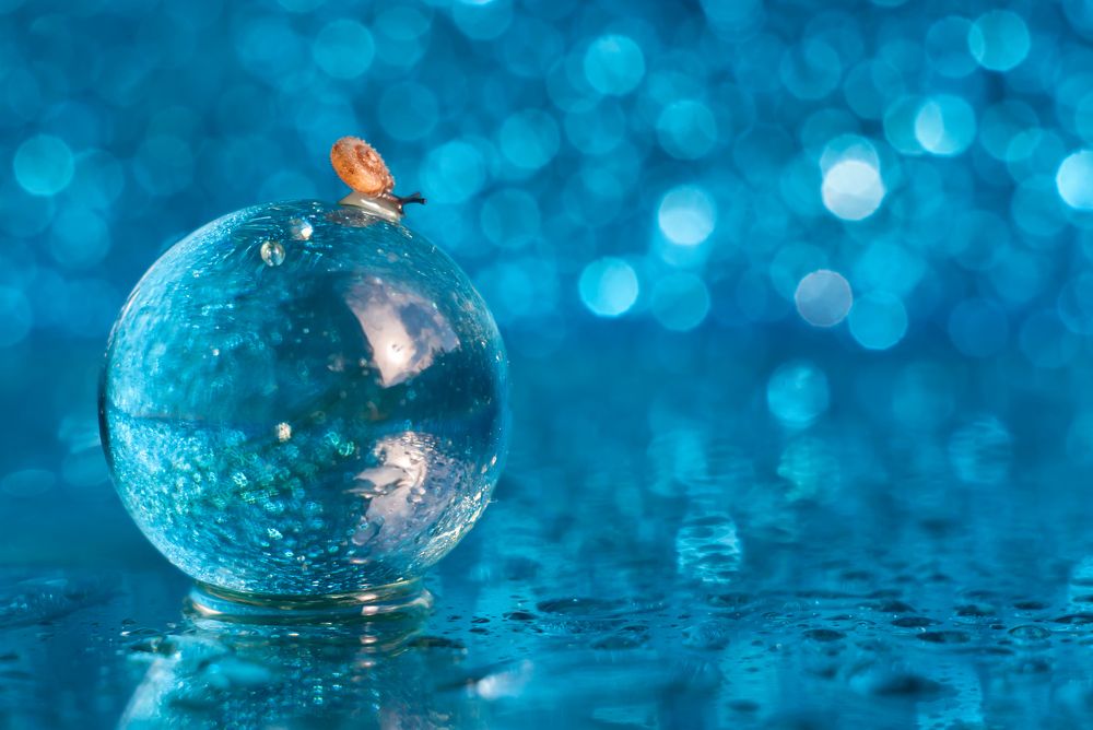 Улитка на шаре