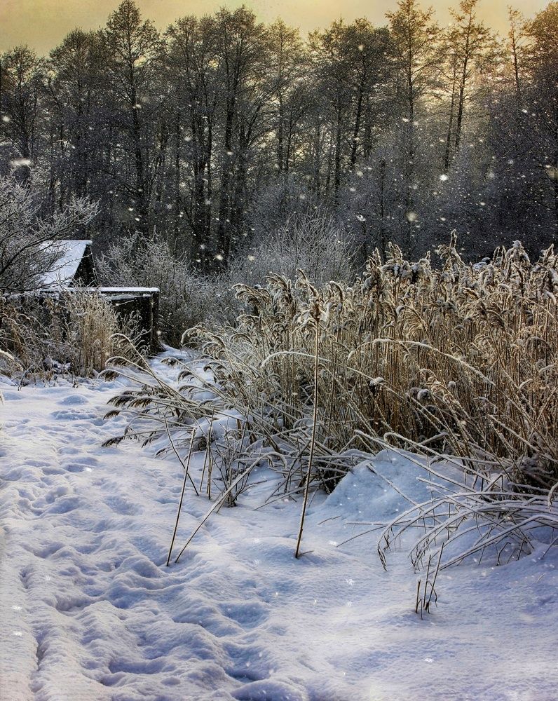 Утро в деревне