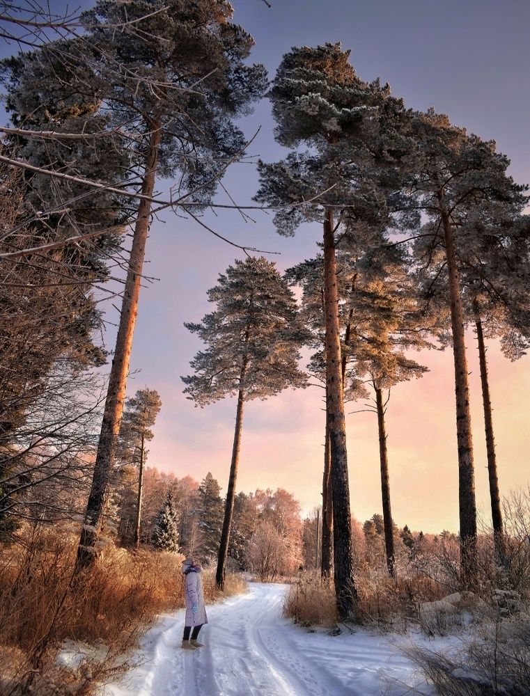 Краски природы