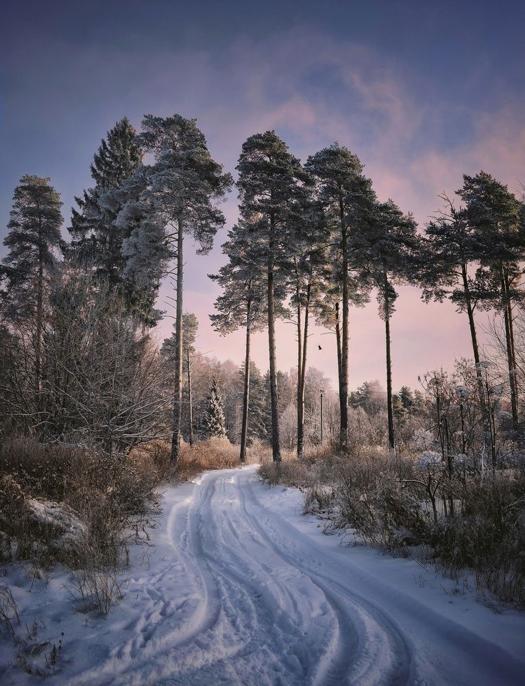 Утро в деревне