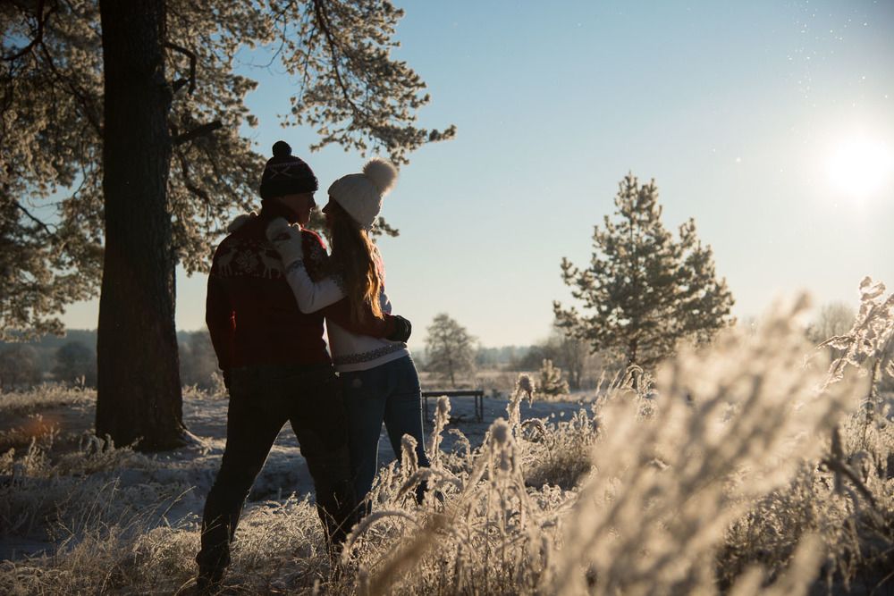 В зимнем лесу