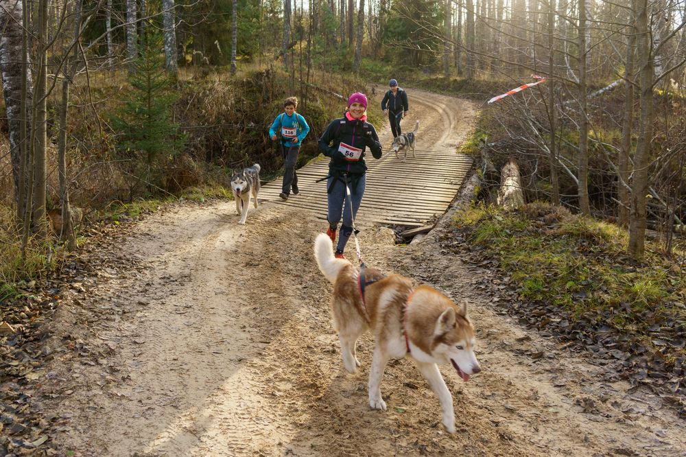 Радость бега