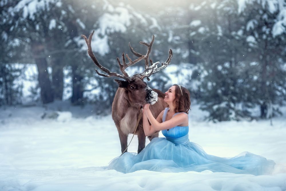 Лесная сказка