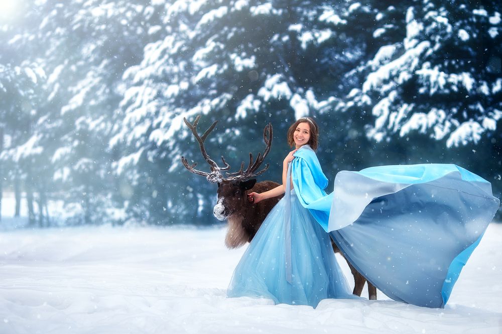 Лесная сказка