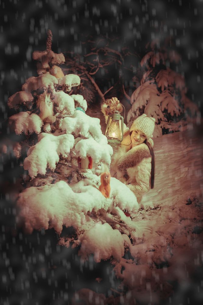 В Новогоднюю ночь