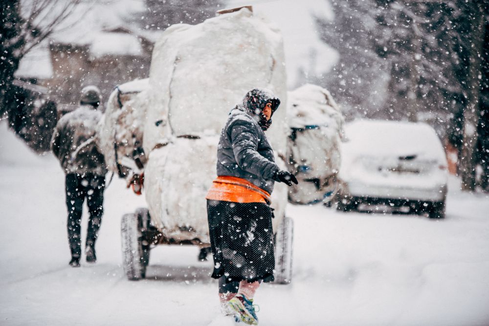 The horse - Tool, friend and job