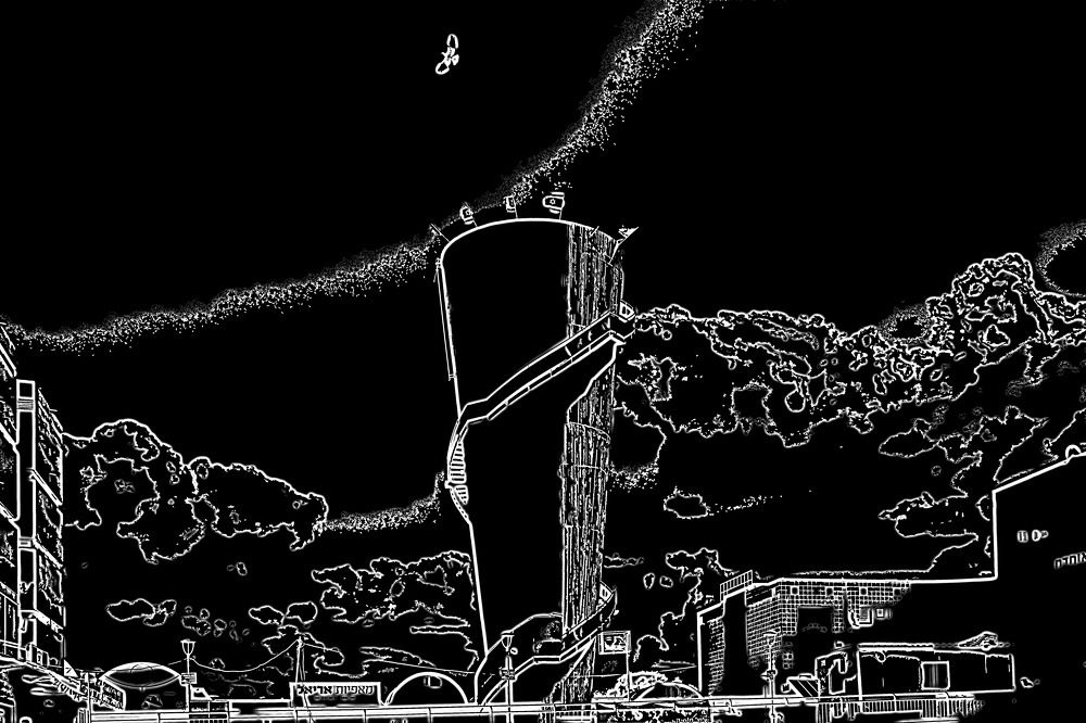 Night flight of a white bird