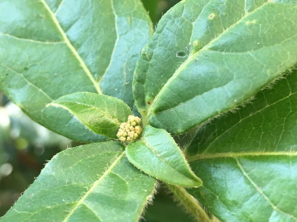 Красота природы