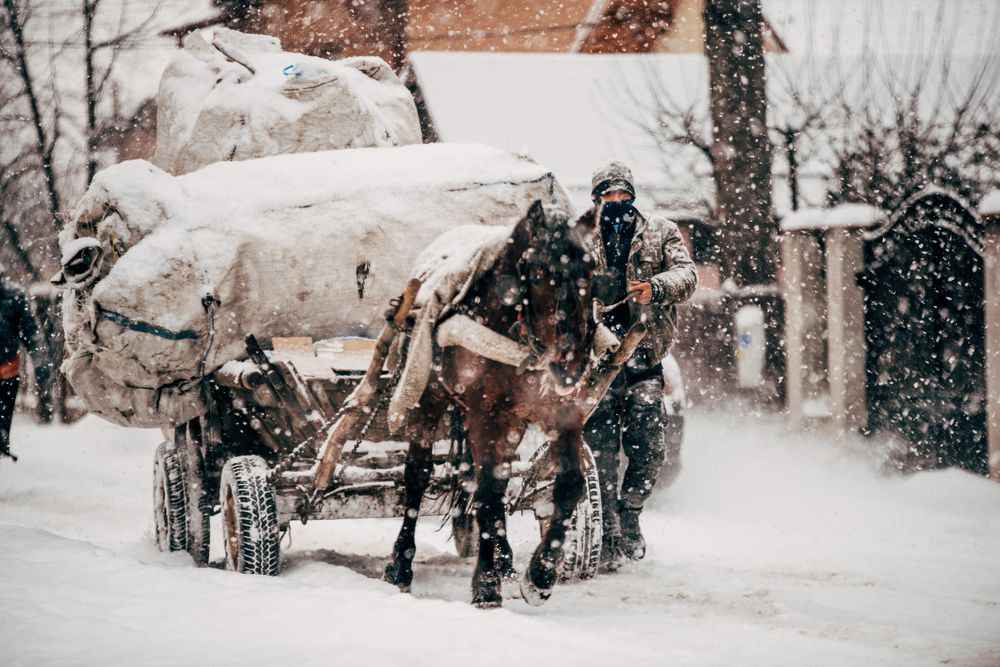 The horse - Tool, friend and job