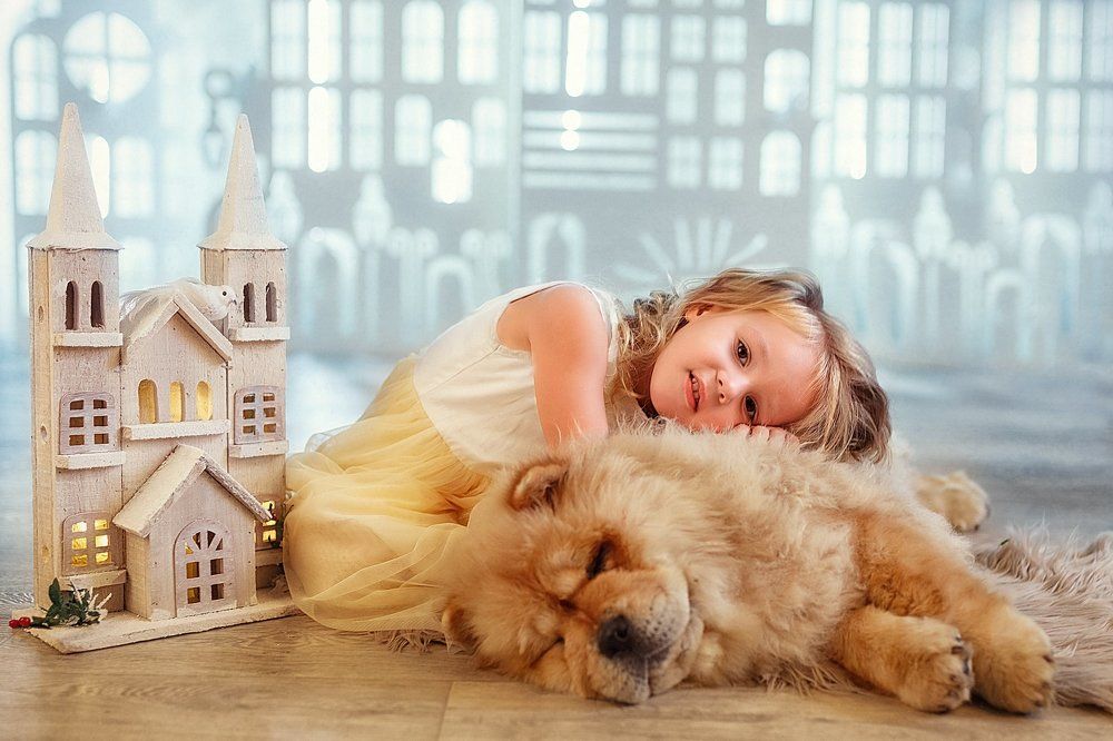 Рождественская история