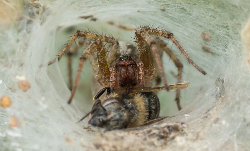 Photograph by Сергей Тригуб