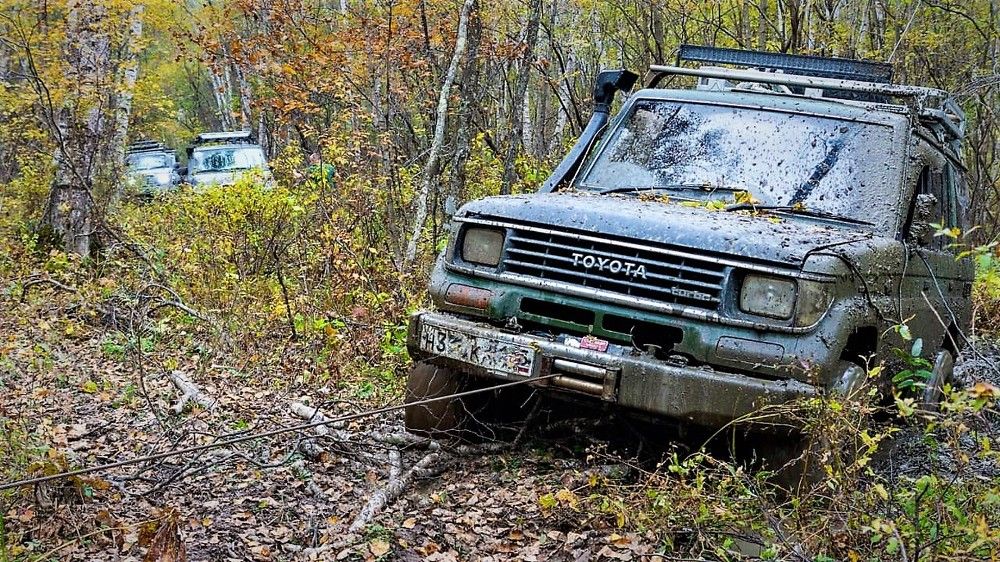 Photograph by Александр Бутылев