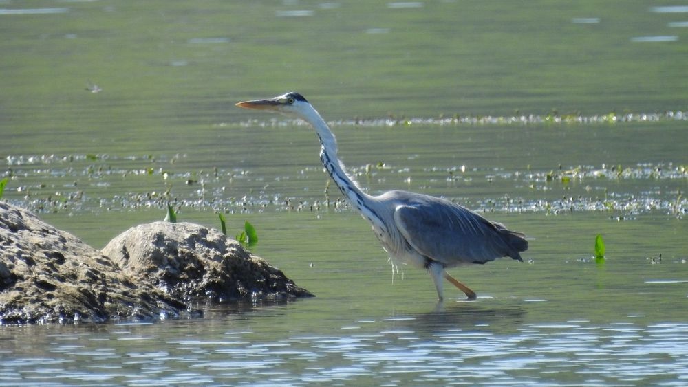 Photograph by Олександр Максимюк