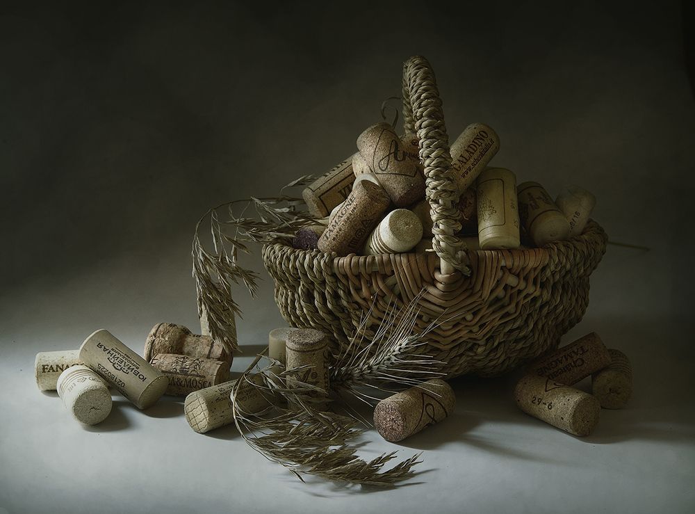 Это мы удачно в лес сходили...