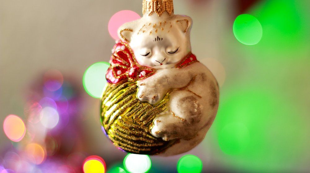 Сладких снов