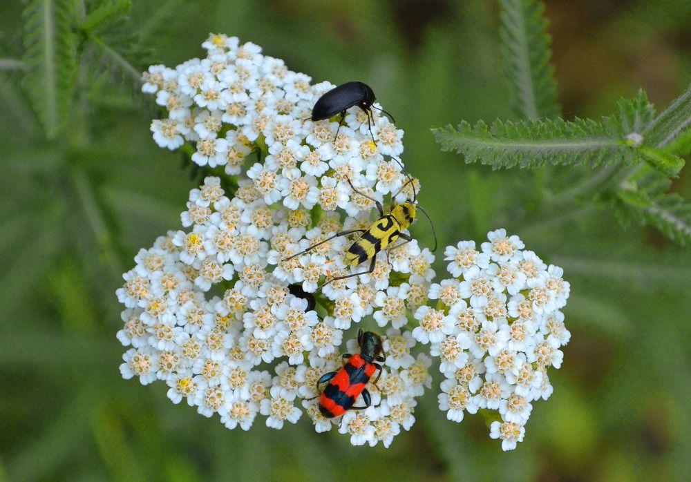 Photograph by Нелли Солодовникова