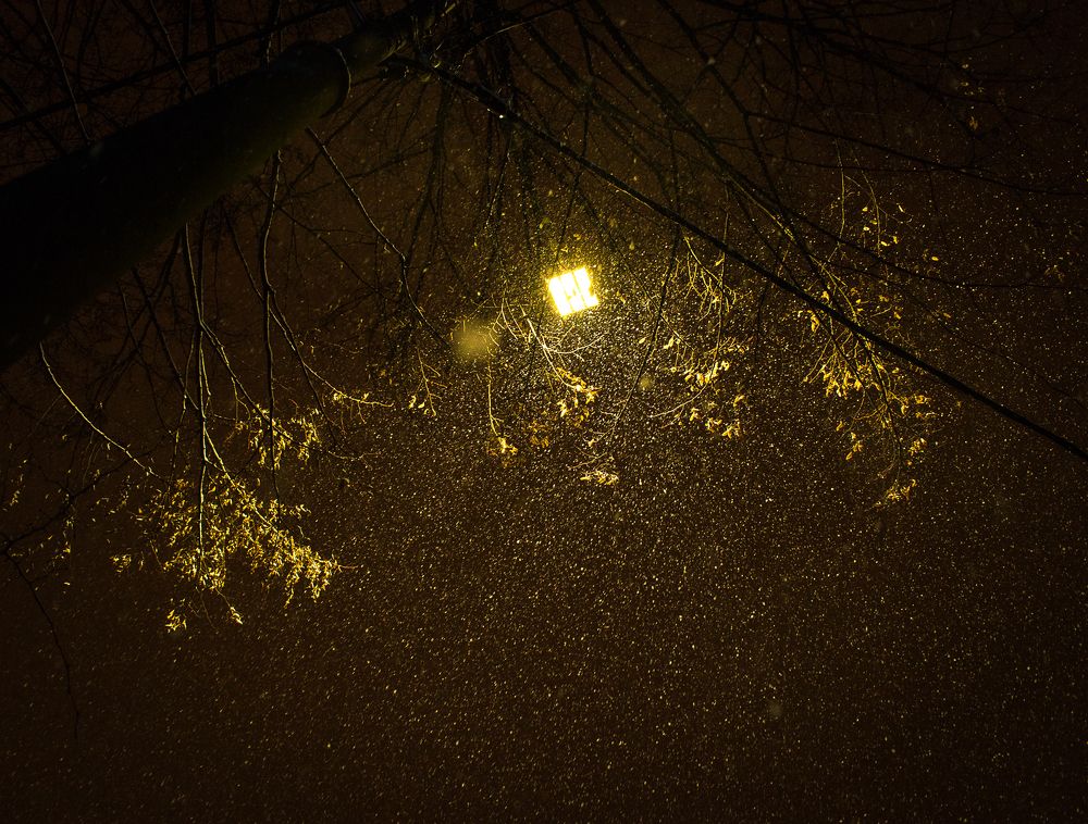 Золото с неба