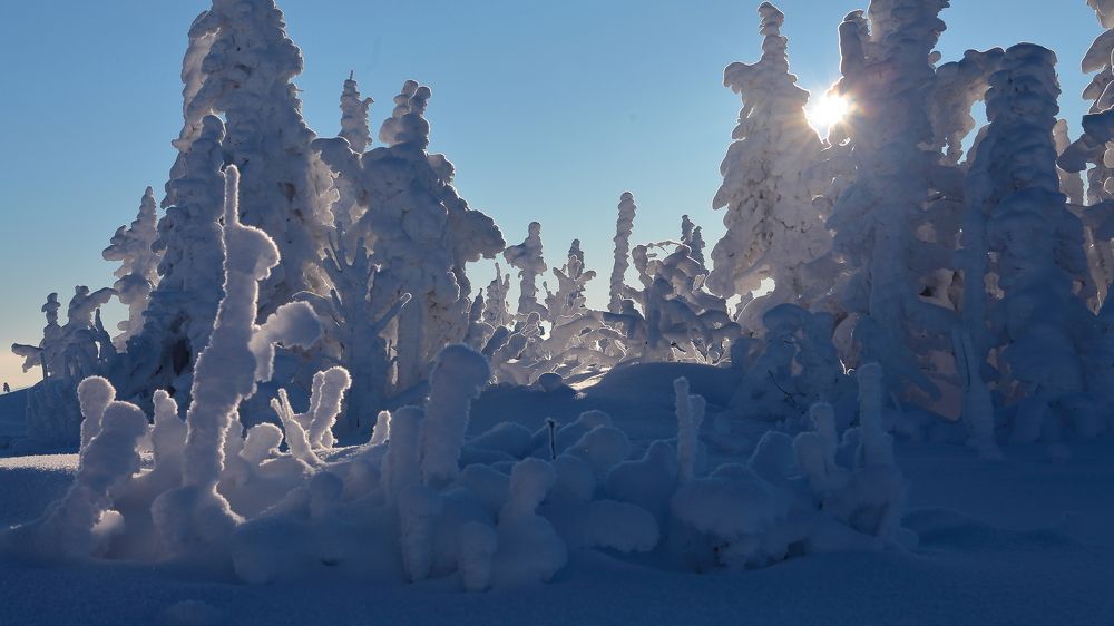 Photograph by Александр Полюдов