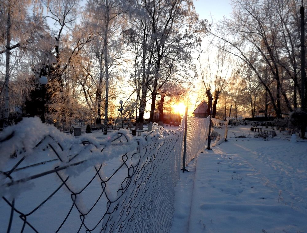 Замерзший парк