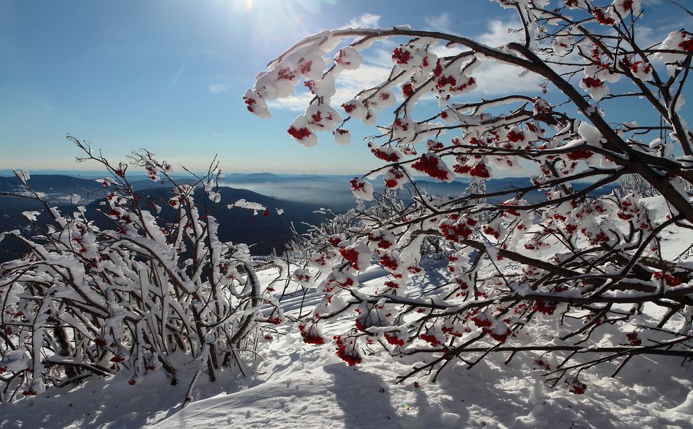 Photograph by Александр Полюдов