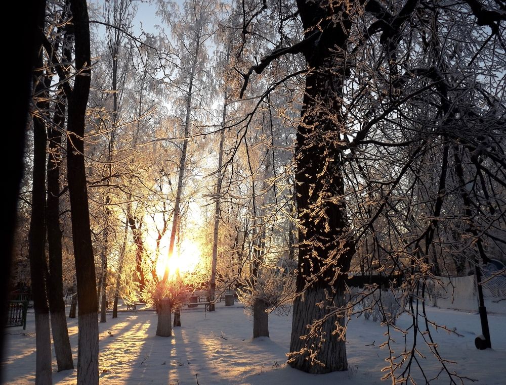 Необыкновенная зима