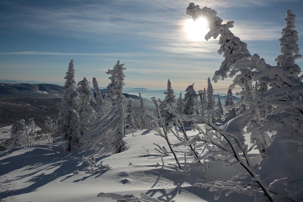 Photograph by Александр Полюдов