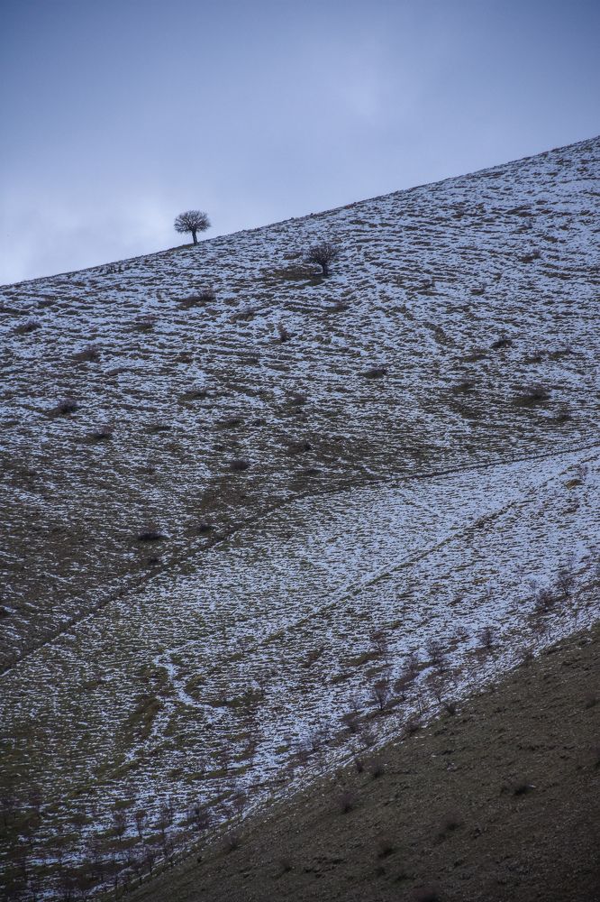 Photograph by Moslem Azimi