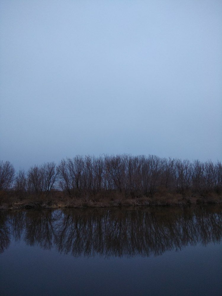 Photograph by Оксана Зяблова