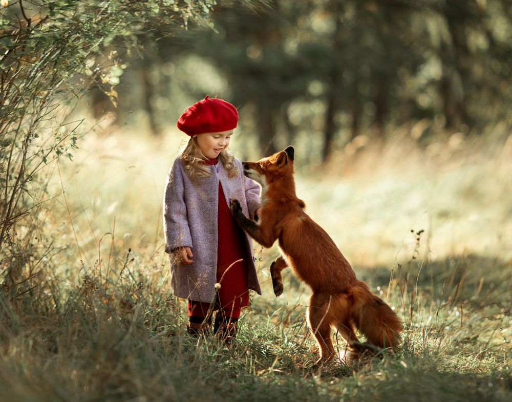 Фотография автора Анна Евгеньева