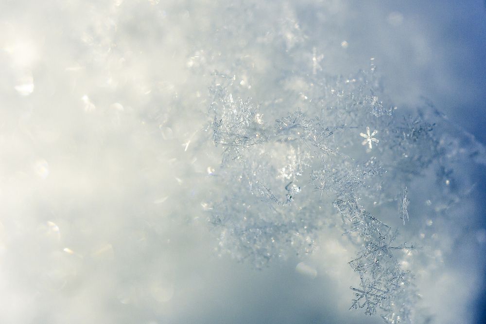 Царство Зимы