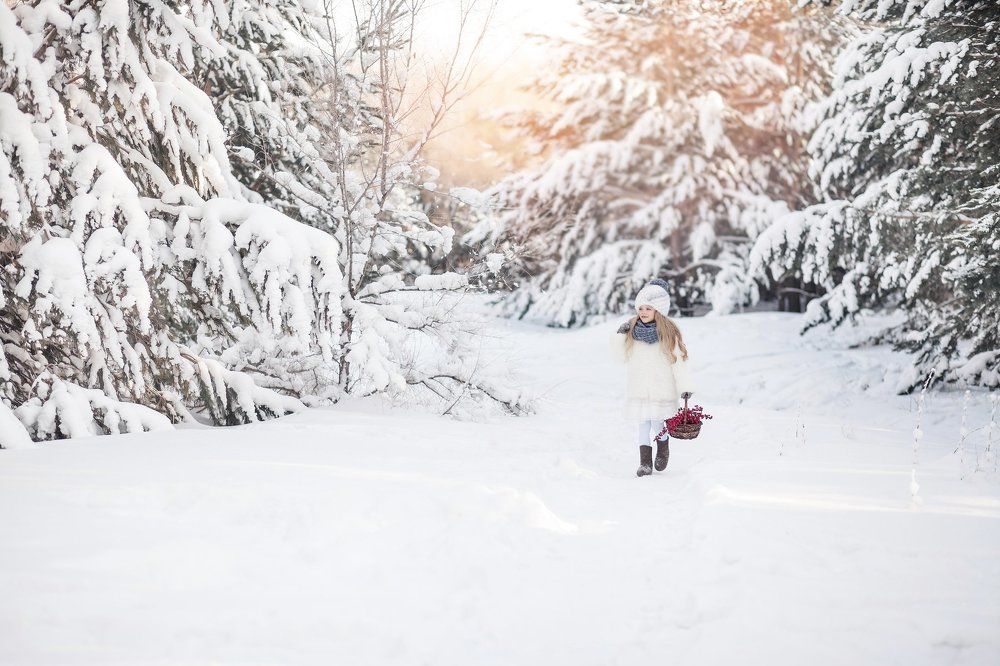 Рождественский лес