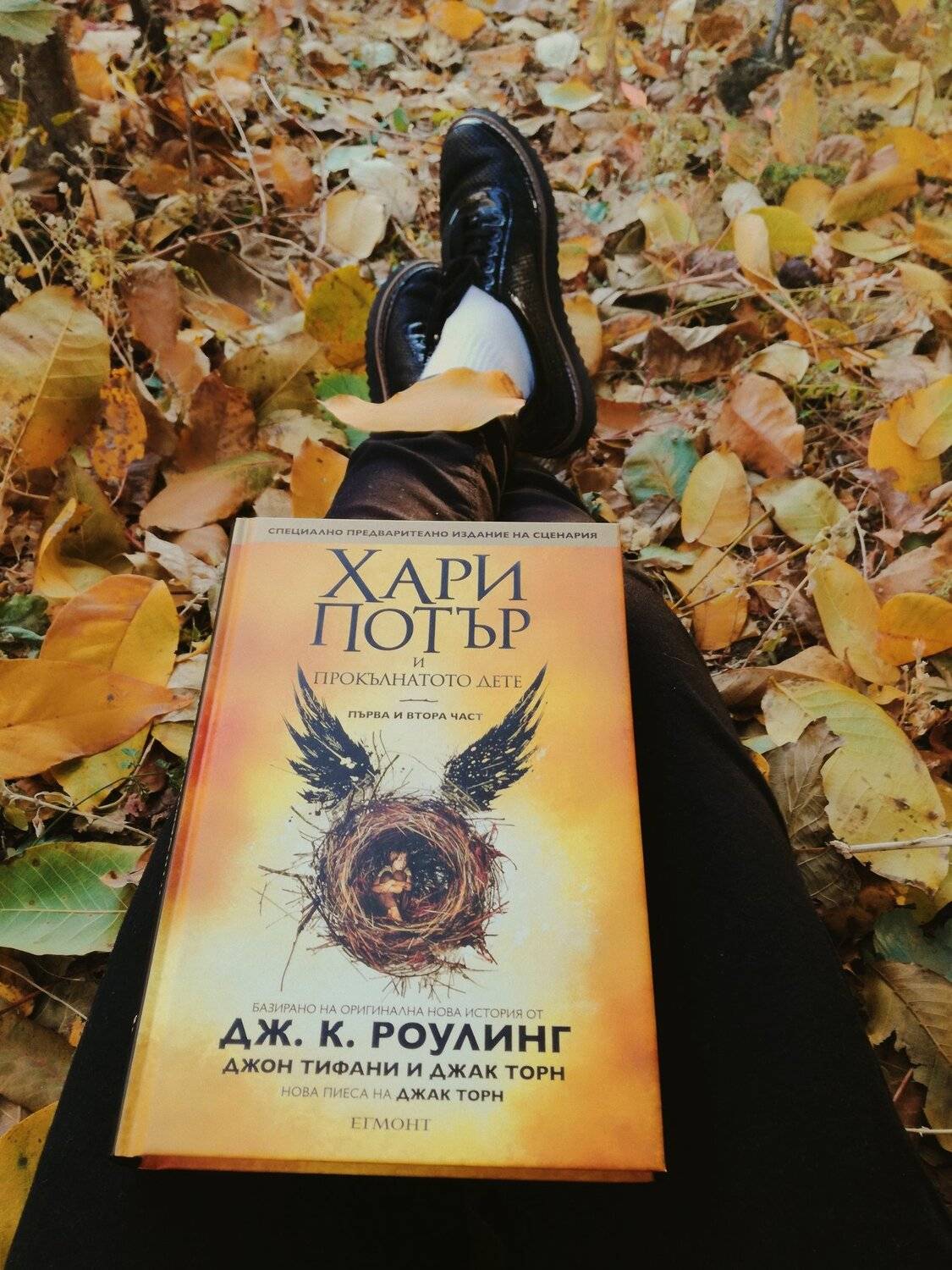 Autumn lover