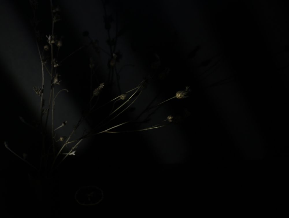 Photograph by Татьяна