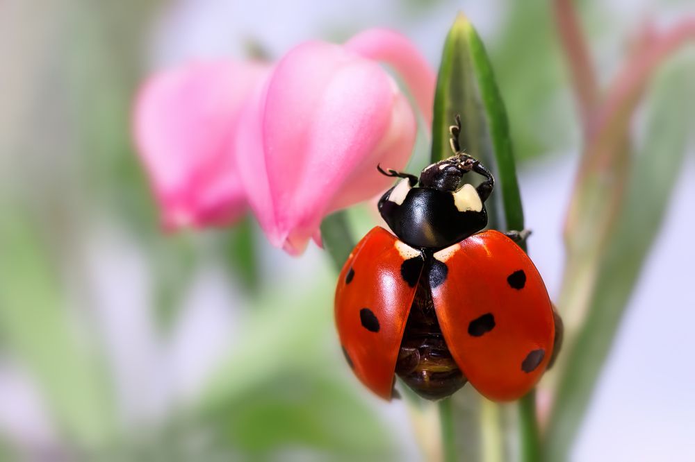 За сим и откланиваюсь