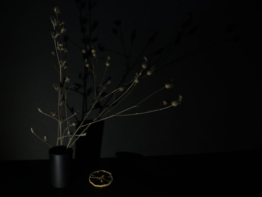 Photograph by Татьяна