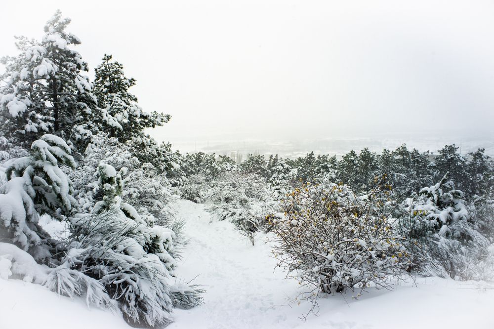 Крымская зима