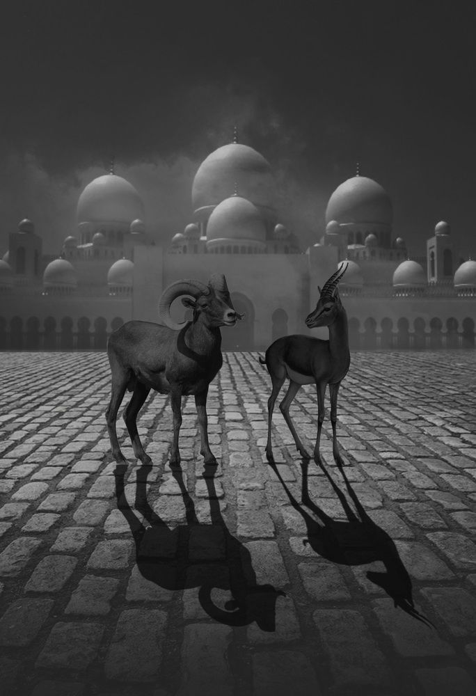 Восточная ночь