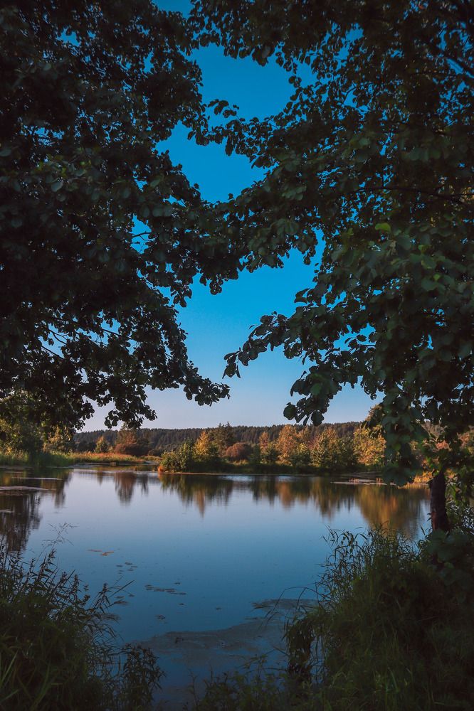 Photograph by Matvey