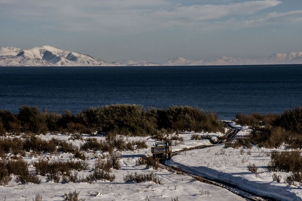 Фотография автора sose